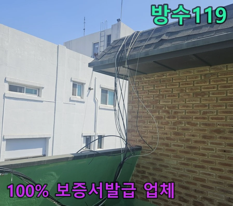 20260709155603_6d2a169c.webp