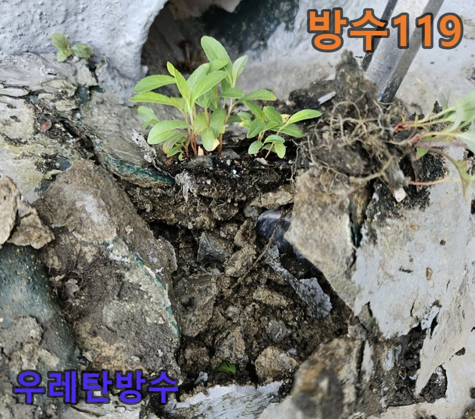 20260709175411_3a6e51e4.webp