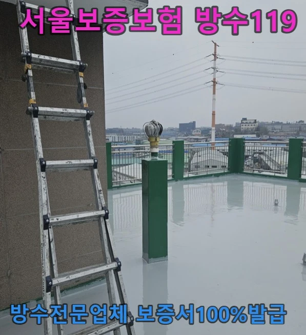 20260717172556_dd6ee3a6.webp