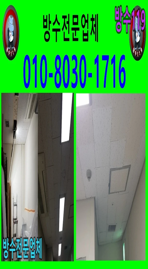 20260720192346_52419973.webp