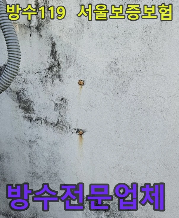 20260721131924_ce10c1f8.webp