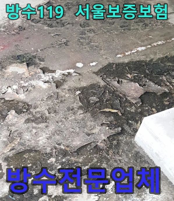 20260721160746_04a5a74f.webp