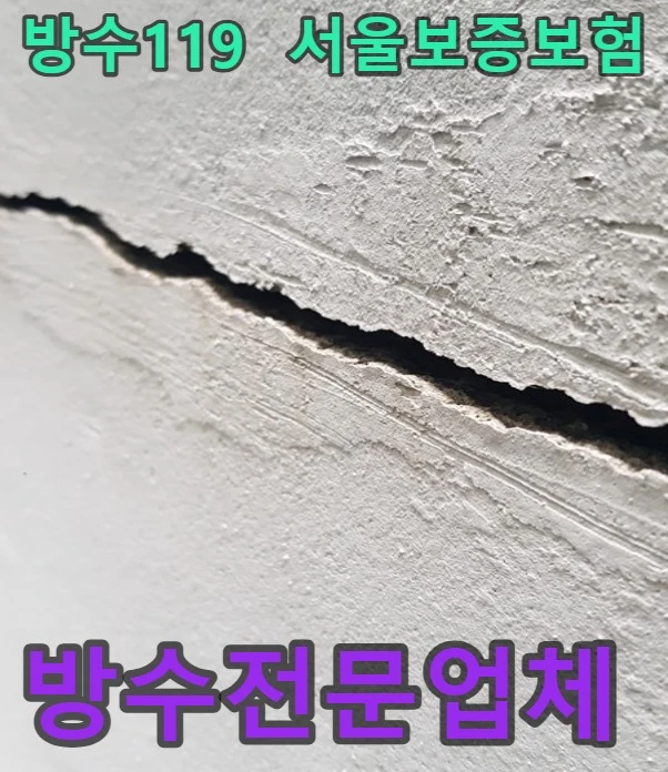 20260722191737_5289806a.webp