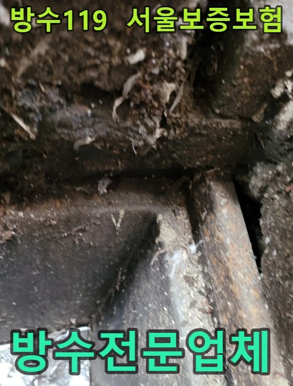 20260722193049_3c51fd85.webp