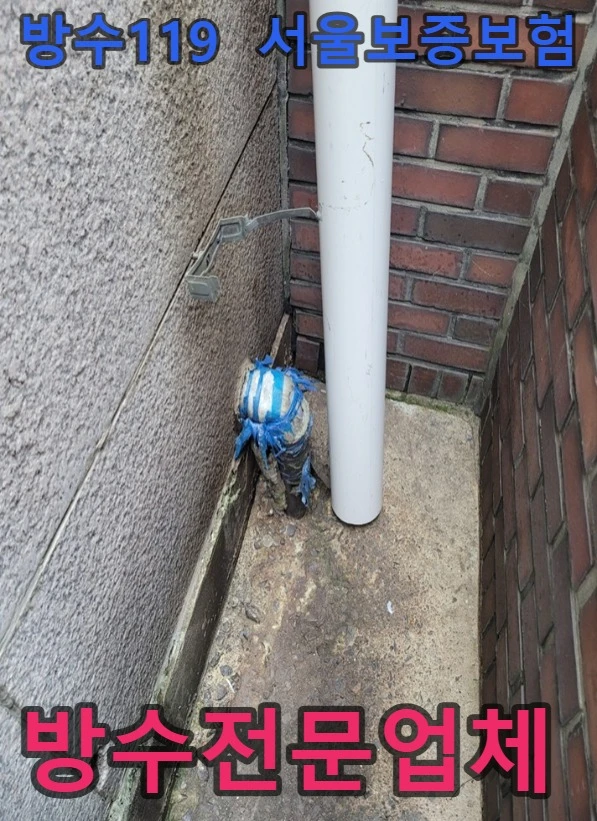 20260722195012_0f65a4c1.webp