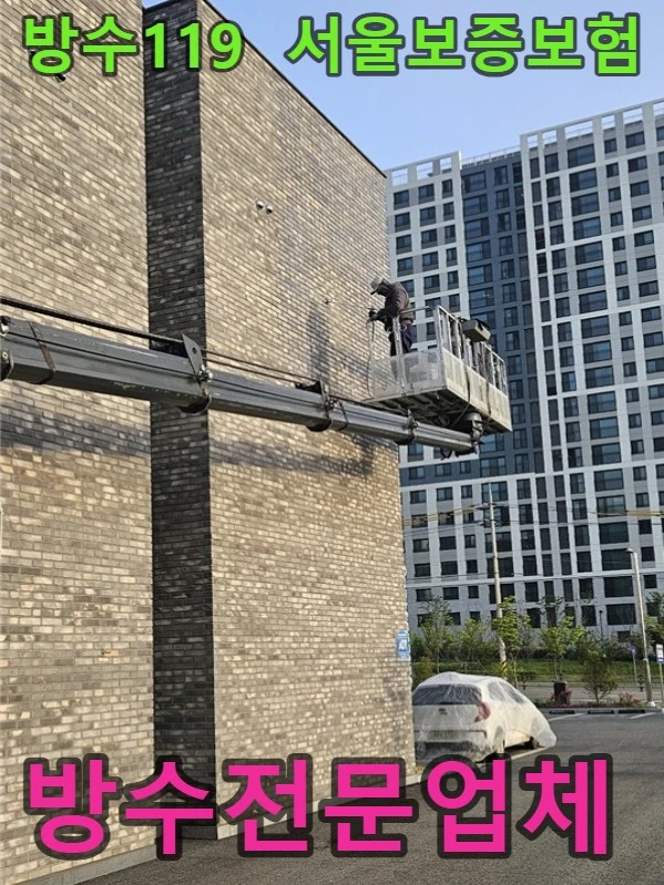 20260729184830_72262491.webp