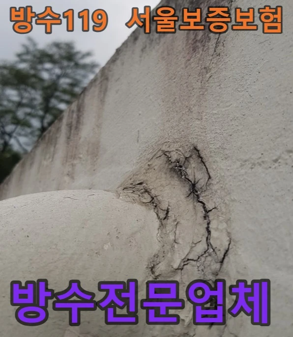20260801140811_ace2f149.webp