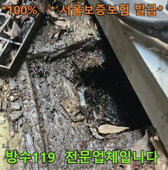 20260802144848_da39eb68.webp