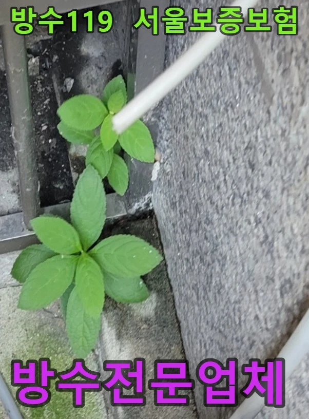 20260804094845_09b5ce5c.webp