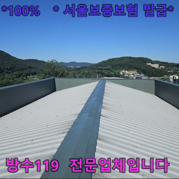 20260805174406_453a10e6.webp
