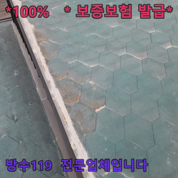 20260805181628_1313a4d5.webp