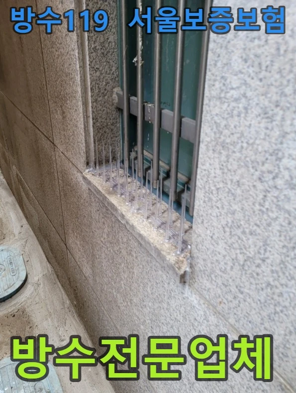 20260806092903_d6fb7d66.webp