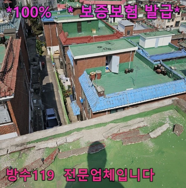 20260806094750_ff9ef7ee.webp