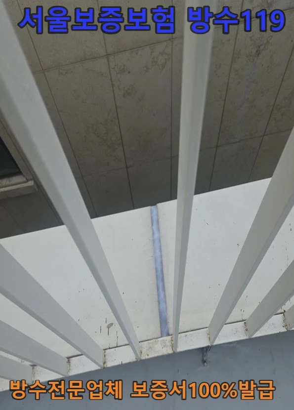 20260807121816_424559ad.webp