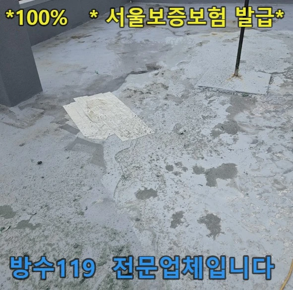 20260808125714_689cb895.webp