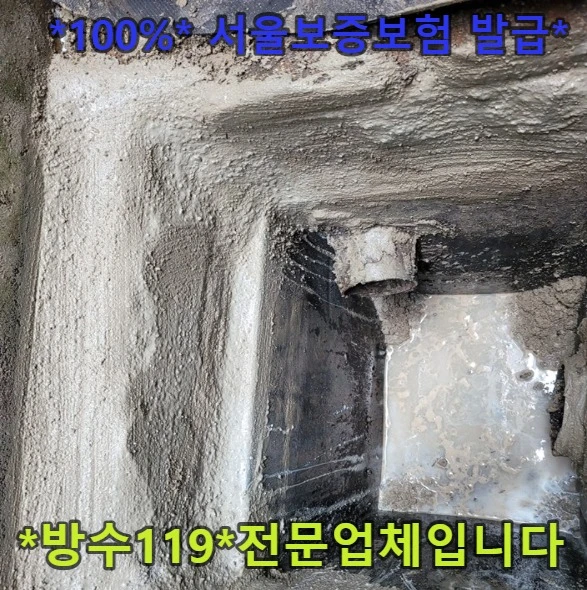 20260808131224_cfe77610.webp