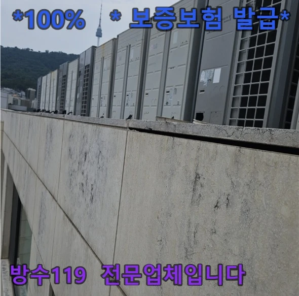 20260808132348_d8d25a92.webp