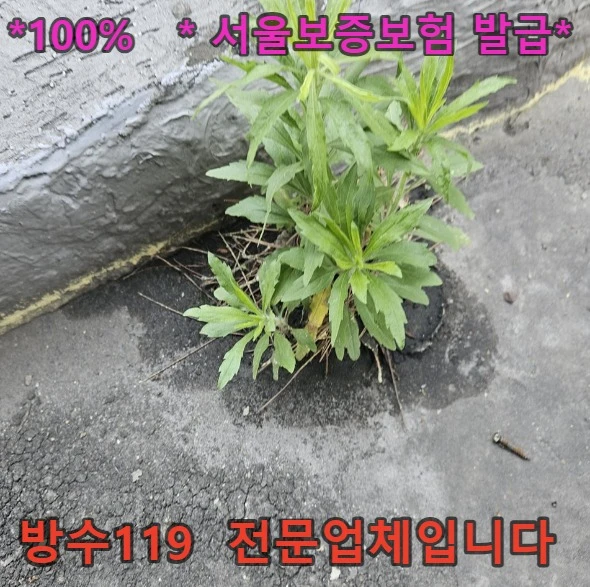 20260808133757_5ca82620.webp