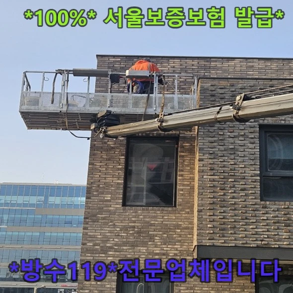 20260808210717_852d5494.webp