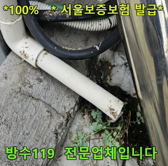 20260808210717_db7dbc5a.webp