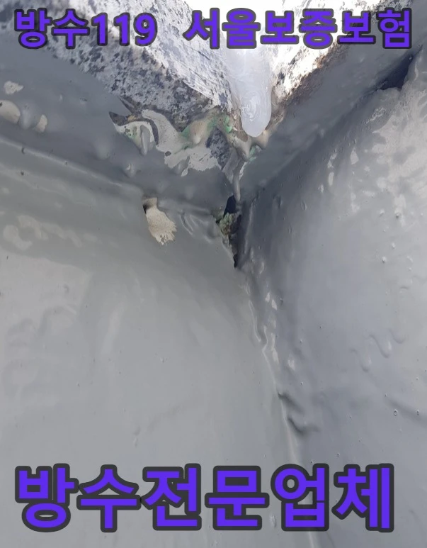 20260811094255_f2d5e866.webp