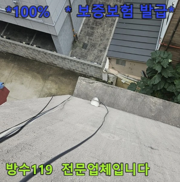 20260811095104_4037abe8.webp