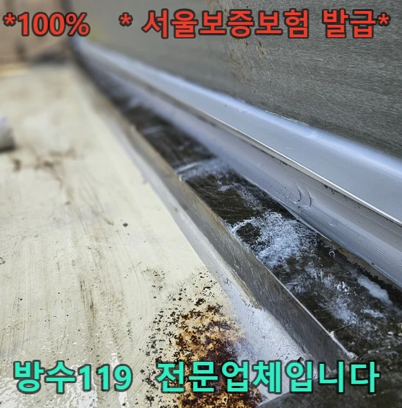 20260811095105_a35a7c86.webp