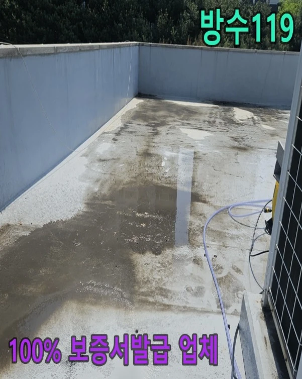 20260811100122_227e2d1c.webp