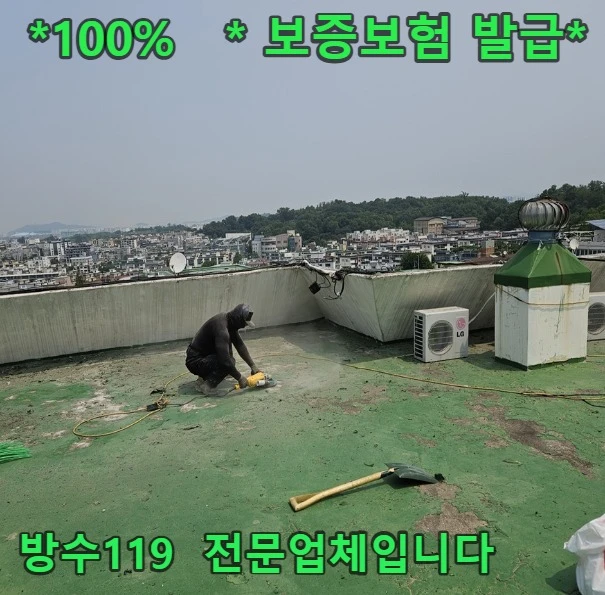 20260813094939_2e0d5e09.webp