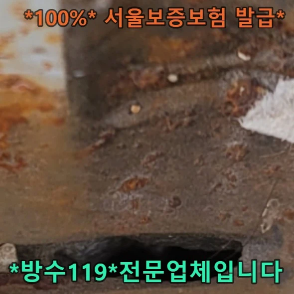 20260816123747_c998db04.webp