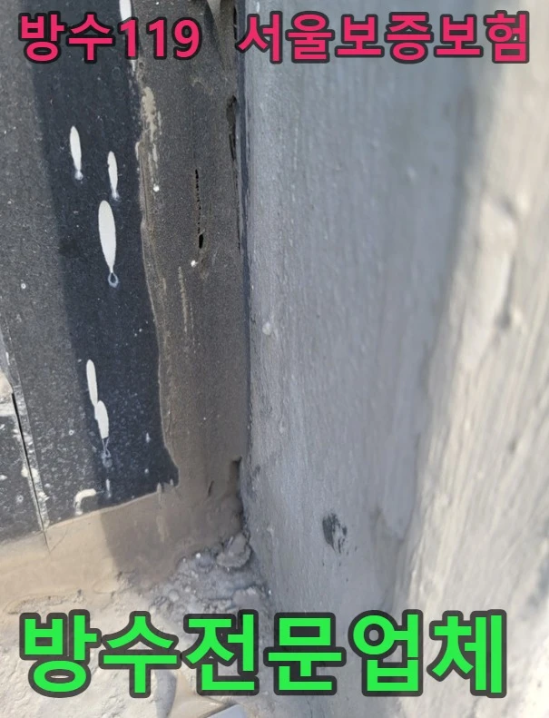 20260816125016_6184b078.webp