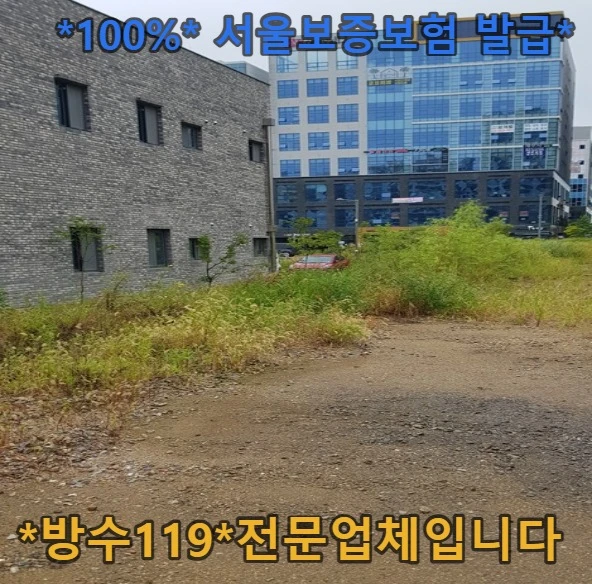 20260816132416_358d57eb.webp