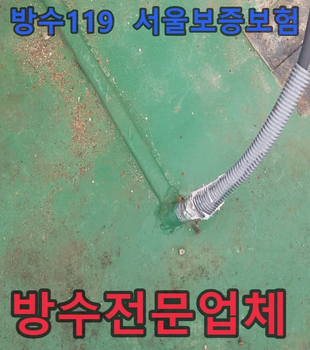 20260817164339_3a47e064.webp