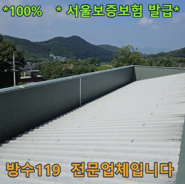 20260818182422_98ad9804.webp