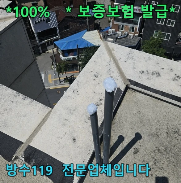 20260818182422_b7455455.webp