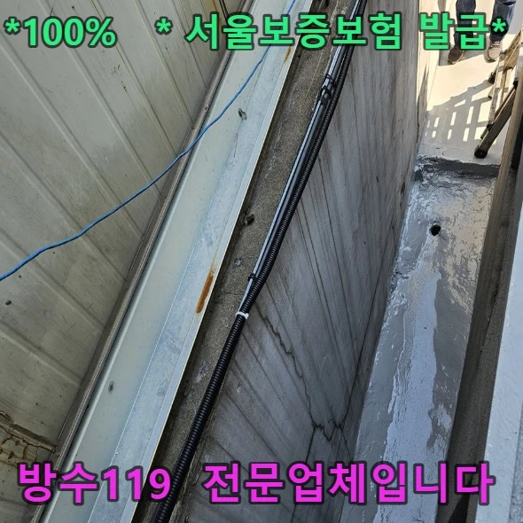 20260819193509_537114d4.webp