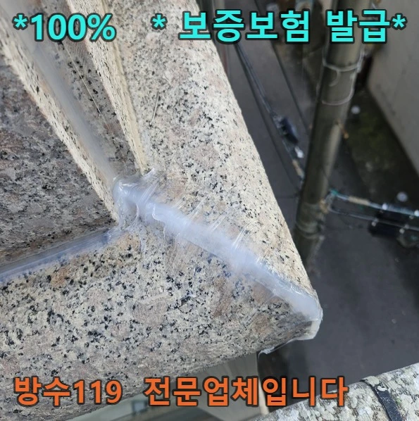 20260819200508_542c4748.webp