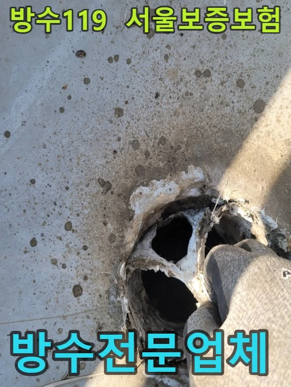 20260820184934_9de4de54.webp