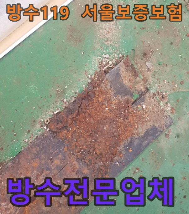 20260820185103_df1544f5.webp