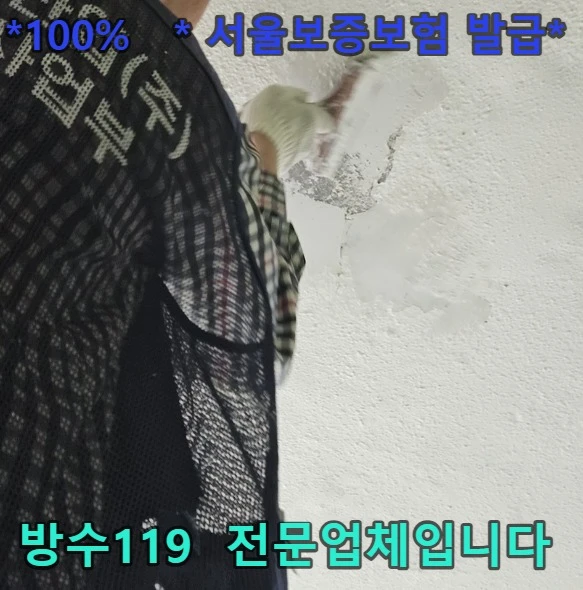 20260821195147_962ddfb6.webp