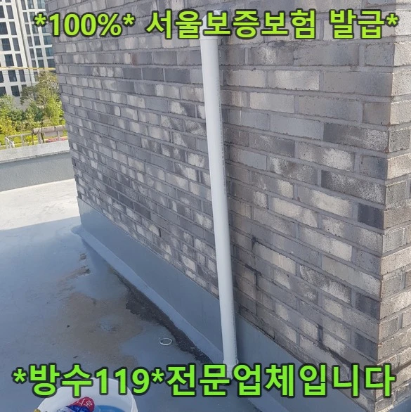 20260821195452_defaab8c.webp