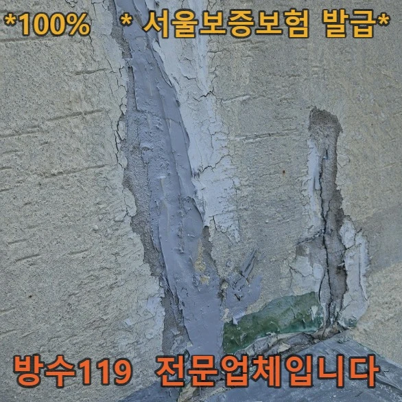 20260821195834_40d4de3c.webp