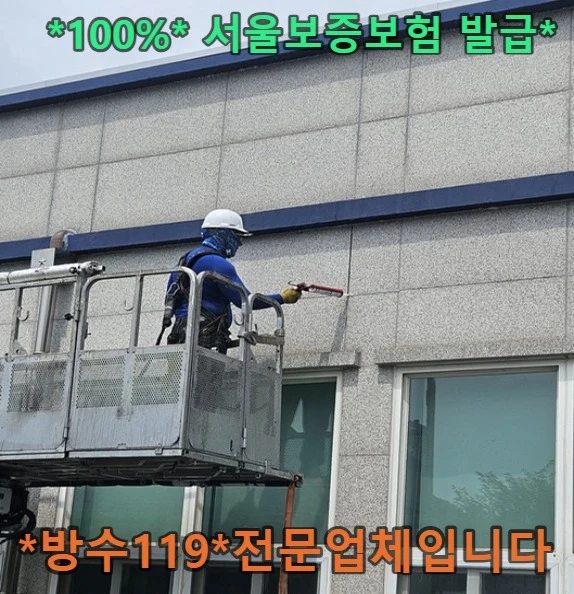 20260821200004_041455ee.webp