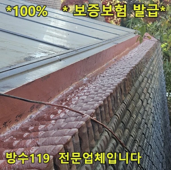 20260822113736_950b3d50.webp