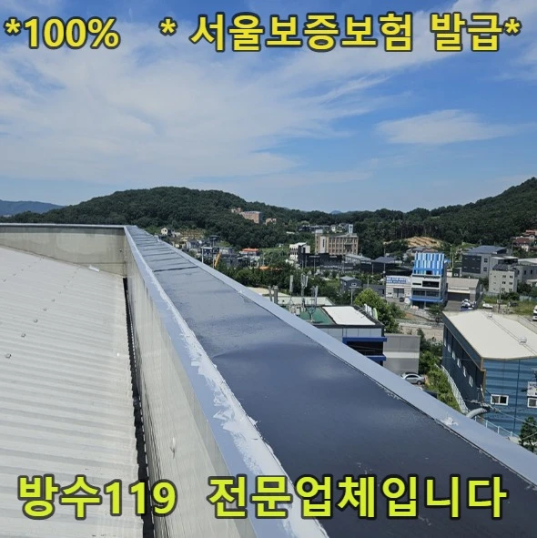 20260822123203_e5a450cf.webp
