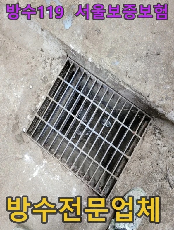20260901110502_55b1701f.webp