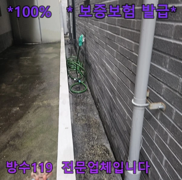 20260901110503_0171e17b.webp