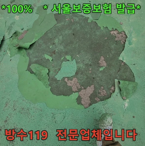 20260901110503_4a753607.webp