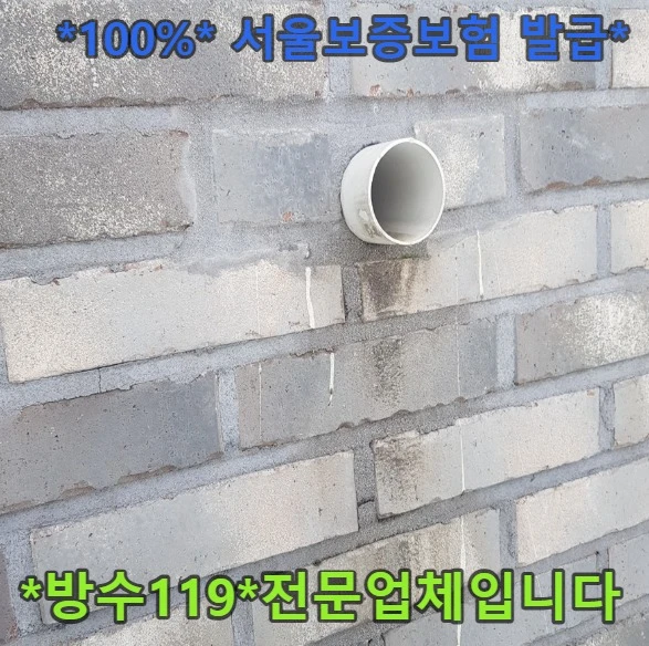 20260902081904_00f3606f.webp