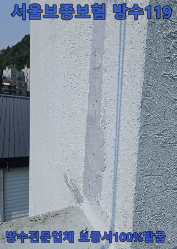 20260906194427_020aa3d7.webp